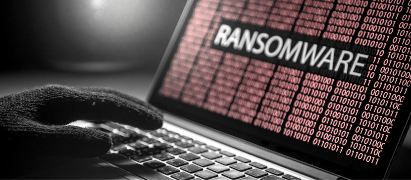 Rising Trends in Ransomware and Data in the Dark Web