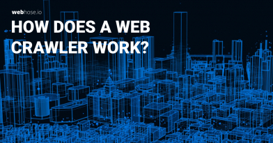 How Does a Web Crawler Work?