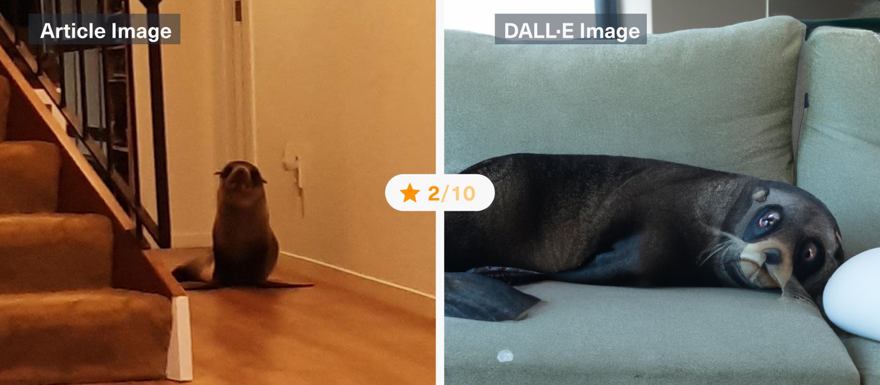 DALL-E meets News API:“Seal breaks into New Zealand home, traumatises cat and hangs out on couch”