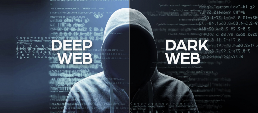 Deep Web vs. Dark Web: Differences and Exceptions