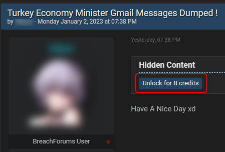 An example of a post that requires credits in order to unlock Turkey's Economy Minister's Gmail messages