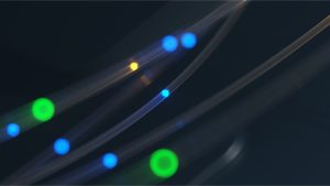 Detecting Identity Theft on the Dark Web