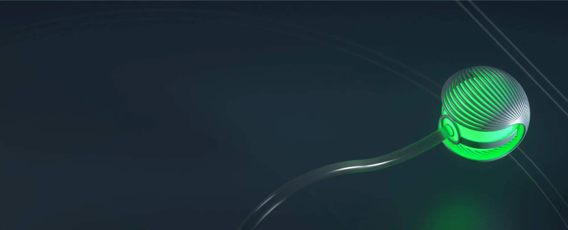 Monitor Identity Fraud With Entity API